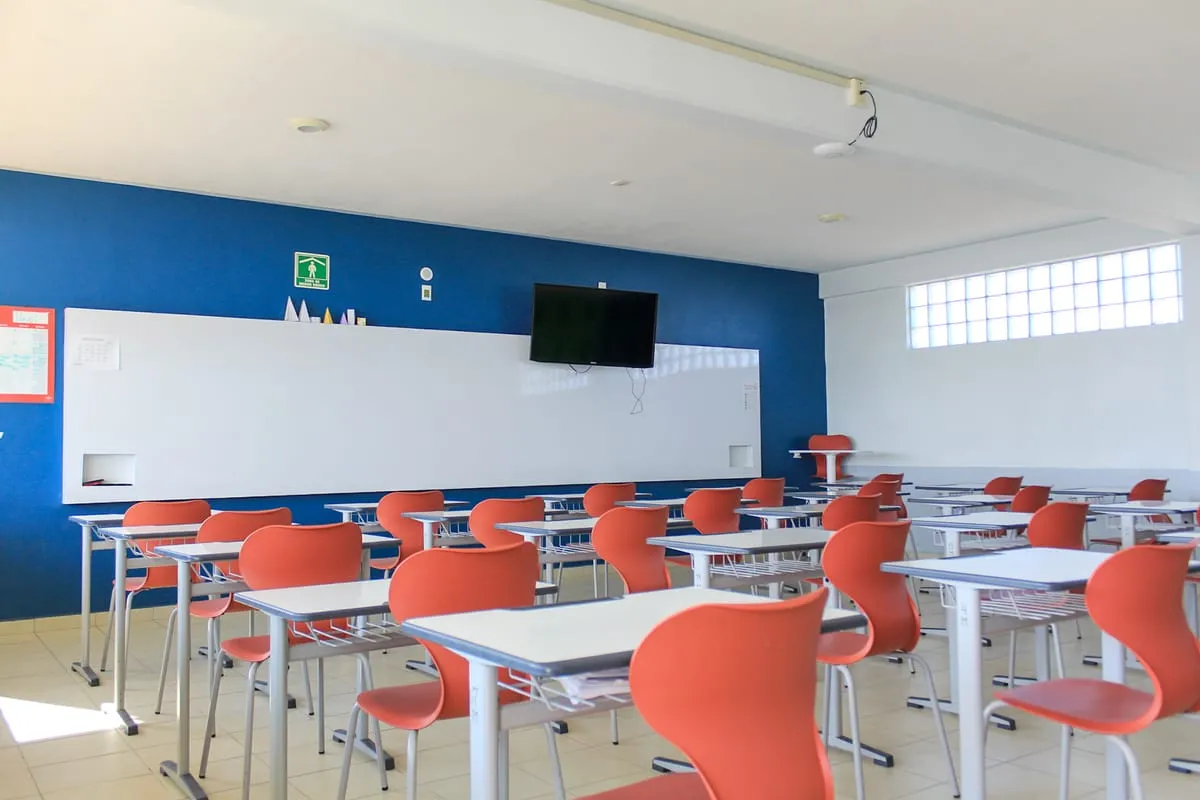 Actividad Secundaria